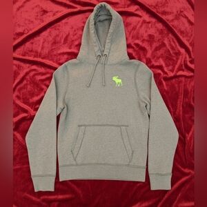 Vintage Abercrombie & Fitch Gray Hoodie with Green Moose Logo Muscle Fit